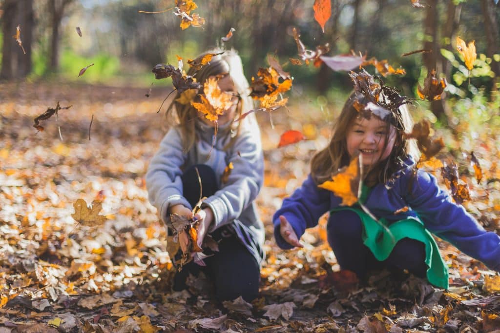 leaves autumn things to do kids
